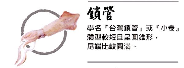 小卷中卷02
