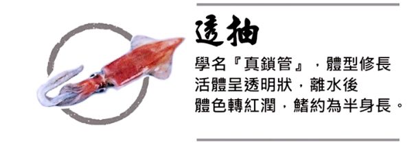小卷中卷03