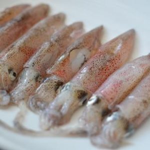 【新合發】活凍小卷