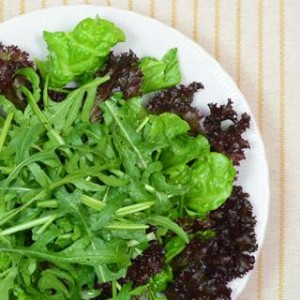 芝麻菜,沙拉