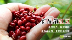 晶鑽紅豆