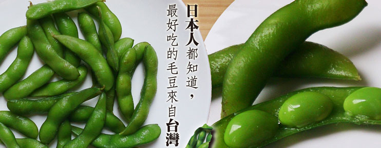 0310毛豆