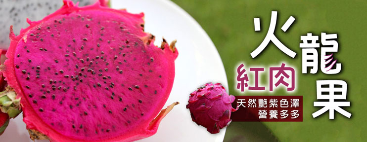 紅肉火龍果