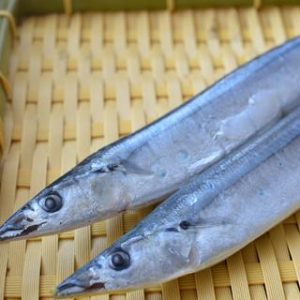 【新合發】頂級秋刀魚