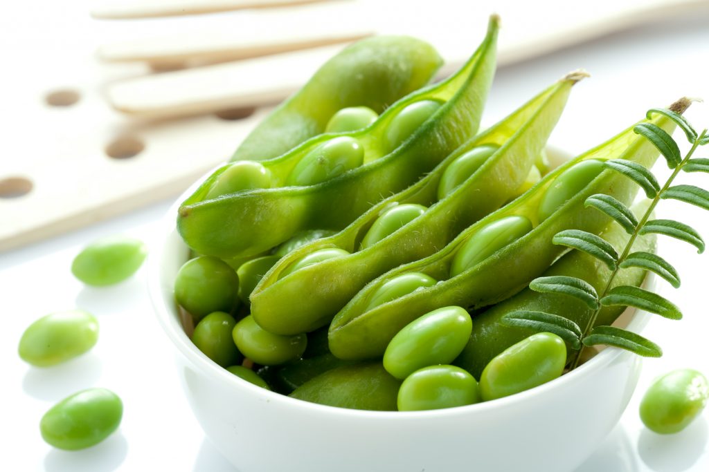 毛豆01