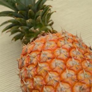 關廟鳳梨